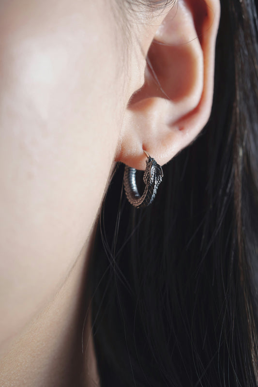 Earringsv
