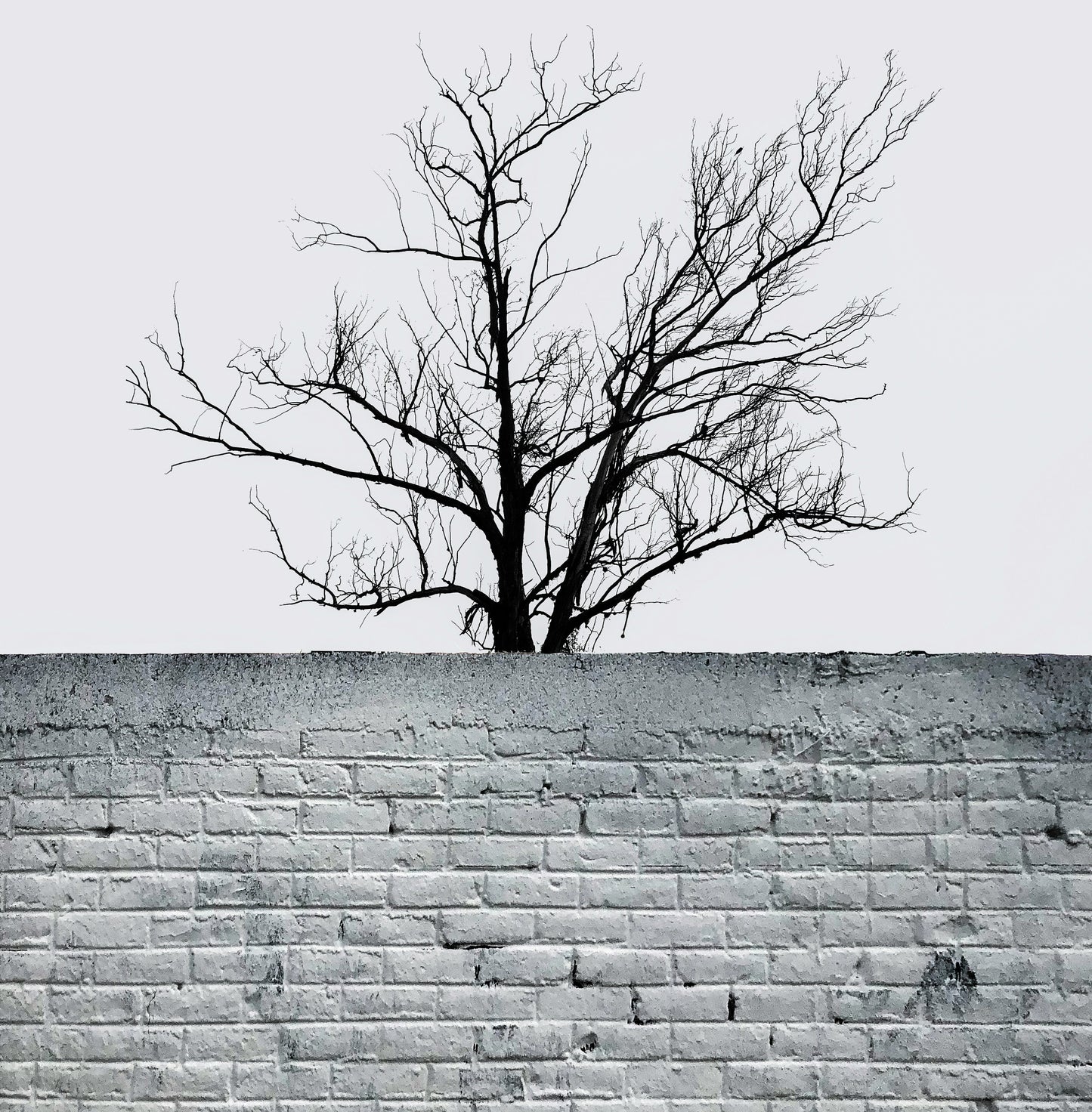 Wall Stickers