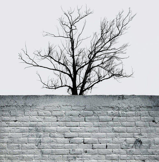 Wall Stickers